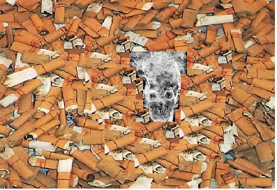 Essay On Smoking Cigarettes